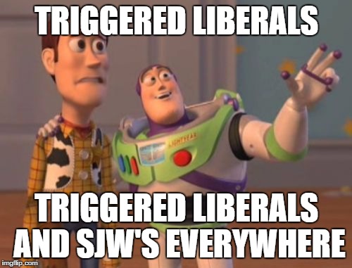 X, X Everywhere | TRIGGERED LIBERALS; TRIGGERED LIBERALS AND SJW'S EVERYWHERE | image tagged in memes,x x everywhere | made w/ Imgflip meme maker