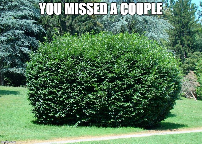 YOU MISSED A COUPLE | made w/ Imgflip meme maker