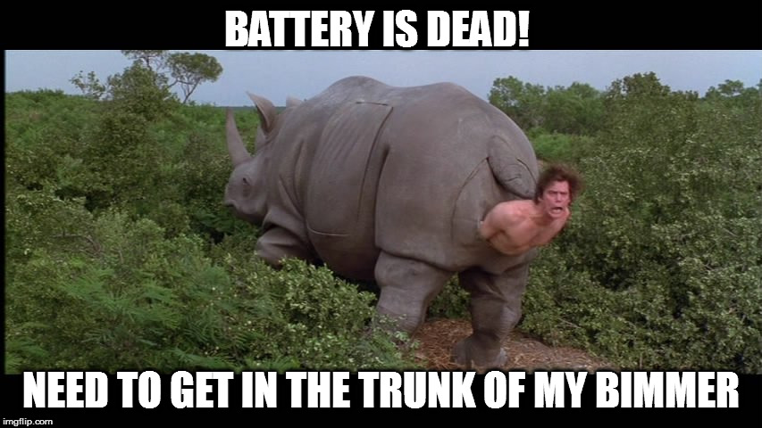 rhino | BATTERY IS DEAD! NEED TO GET IN THE TRUNK OF MY BIMMER | image tagged in rhino | made w/ Imgflip meme maker