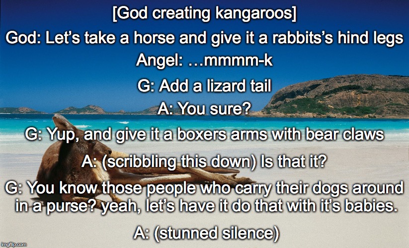The Creation of Kangaroos | [God creating kangaroos]; God: Let’s take a horse and give it a rabbits’s hind legs; Angel: …mmmm-k; G: Add a lizard tail; A: You sure? G: Yup, and give it a boxers arms with bear claws; A: (scribbling this down) Is that it? G: You know those people who carry their dogs around in a purse? yeah, let’s have it do that with it’s babies. A: (stunned silence) | image tagged in australia,kangaroo,creation,god | made w/ Imgflip meme maker