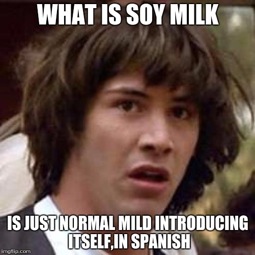 Conspiracy Keanu | WHAT IS SOY MILK; IS JUST NORMAL MILD INTRODUCING ITSELF,IN SPANISH | image tagged in memes,conspiracy keanu | made w/ Imgflip meme maker