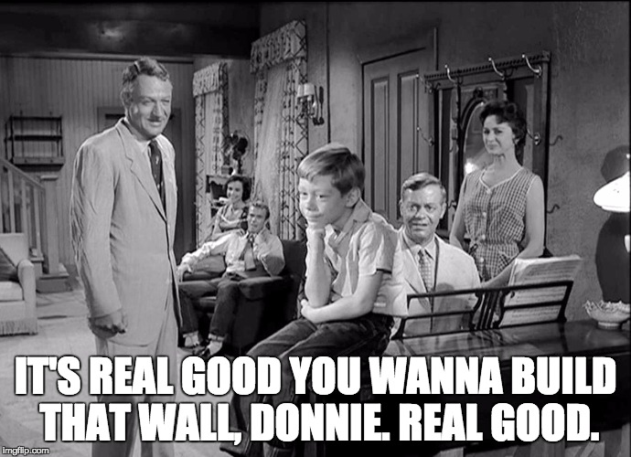 IT'S REAL GOOD YOU WANNA BUILD THAT WALL, DONNIE. REAL GOOD. | image tagged in good life | made w/ Imgflip meme maker