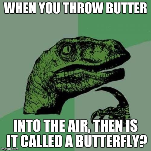 Philosoraptor Meme | WHEN YOU THROW BUTTER; INTO THE AIR, THEN IS IT CALLED A BUTTERFLY? | image tagged in memes,philosoraptor | made w/ Imgflip meme maker