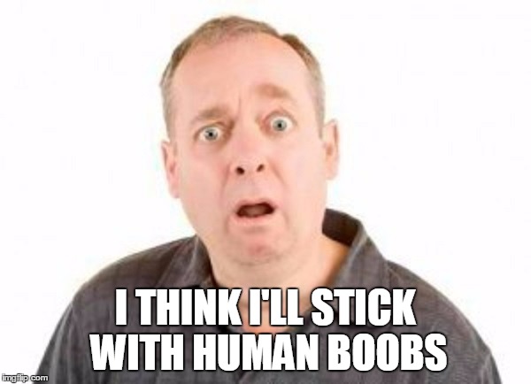 I THINK I'LL STICK WITH HUMAN BOOBS | made w/ Imgflip meme maker