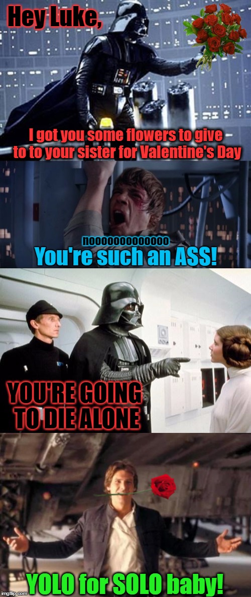 Darth Valentine's | Hey Luke, I got you some flowers to give to to your sister for Valentine's Day; nooooooooooooo; You're such an ASS! YOU'RE GOING TO DIE ALONE; YOLO for SOLO baby! | image tagged in memes,darth vader,luke skywalker,inspired by evilmandoevil | made w/ Imgflip meme maker