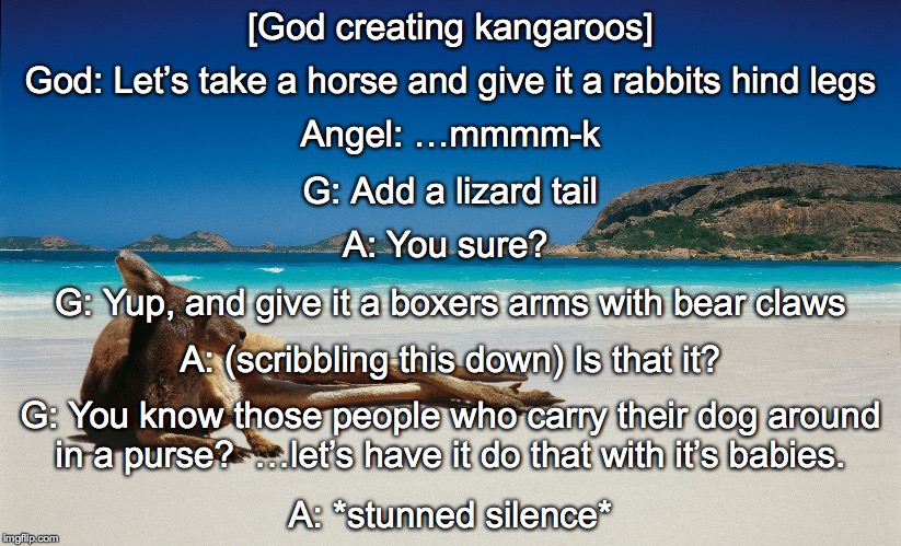 God creating kangaroos, (edited for stupid type-os) | [God creating kangaroos]; God: Let’s take a horse and give it a rabbits hind legs; Angel: …mmmm-k; G: Add a lizard tail; A: You sure? G: Yup, and give it a boxers arms with bear claws; A: (scribbling this down) Is that it? G: You know those people who carry their dog around in a purse?  …let’s have it do that with it’s babies. A: *stunned silence* | image tagged in australia,god,creation,creating,kangaroo | made w/ Imgflip meme maker