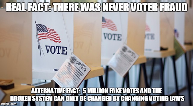 Voting Booth | REAL FACT: THERE WAS NEVER VOTER FRAUD; ALTERNATIVE FACT:  5 MILLION FAKE VOTES AND THE BROKEN SYSTEM CAN ONLY BE CHANGED BY CHANGING VOTING LAWS | image tagged in voting booth | made w/ Imgflip meme maker