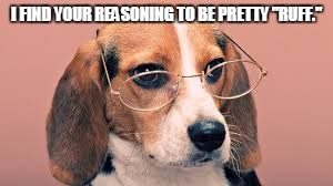 Funny animals | I FIND YOUR REASONING TO BE PRETTY "RUFF." | image tagged in funny animals | made w/ Imgflip meme maker