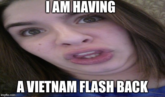 Vietnam flashback | I AM HAVING; A VIETNAM FLASH BACK | image tagged in funny | made w/ Imgflip meme maker