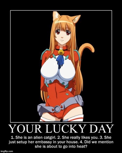 she's NOT a furry  | image tagged in demotivationals,cat planet cuteness,anime,anime girl | made w/ Imgflip meme maker