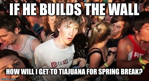 Sudden Clarity Clarence Meme | IF HE BUILDS THE WALL; HOW WILL I GET TO TIAJUANA FOR SPRING BREAK? | image tagged in memes,sudden clarity clarence | made w/ Imgflip meme maker