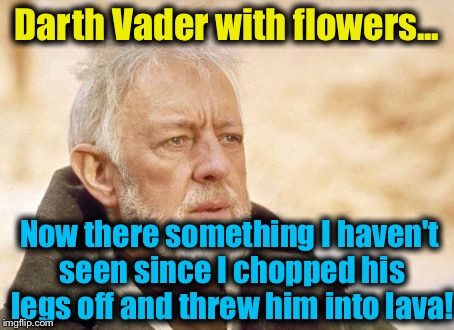 Obi Wan  | Darth Vader with flowers... Now there something I haven't seen since I chopped his legs off and threw him into lava! | image tagged in obi wan | made w/ Imgflip meme maker