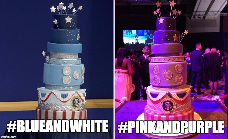 #thecake | #BLUEANDWHITE; #PINKANDPURPLE | image tagged in thecake inauguration | made w/ Imgflip meme maker