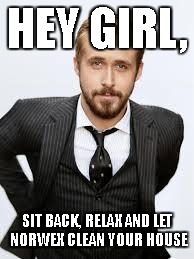 Ryan Gosling Hey Girl  | HEY GIRL, SIT BACK, RELAX AND LET NORWEX CLEAN YOUR HOUSE | image tagged in ryan gosling hey girl | made w/ Imgflip meme maker