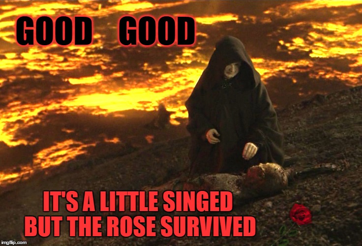 GOOD    GOOD IT'S A LITTLE SINGED BUT THE ROSE SURVIVED | made w/ Imgflip meme maker