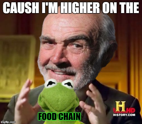 CAUSH I'M HIGHER ON THE FOOD CHAIN | made w/ Imgflip meme maker