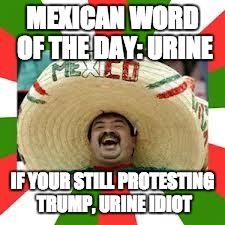 Mexican Fiesta | MEXICAN WORD OF THE DAY: URINE; IF YOUR STILL PROTESTING TRUMP, URINE IDIOT | image tagged in mexican fiesta,memes,funny,funny memes | made w/ Imgflip meme maker