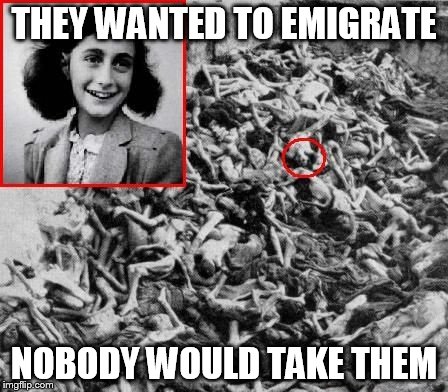 THEY WANTED TO EMIGRATE NOBODY WOULD TAKE THEM | image tagged in anne frank nazi death camp bodies | made w/ Imgflip meme maker