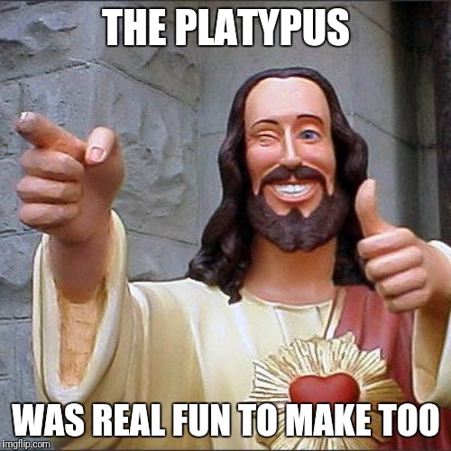 THE PLATYPUS WAS REAL FUN TO MAKE TOO | made w/ Imgflip meme maker