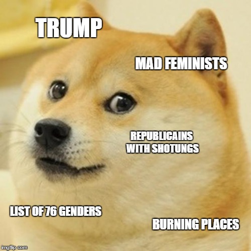 Inauguration day and other events | TRUMP; MAD FEMINISTS; REPUBLICAINS WITH SHOTUNGS; LIST OF 76 GENDERS; BURNING PLACES | image tagged in memes,doge,trump 2017,donald trump,crying democrats,angry feminist | made w/ Imgflip meme maker