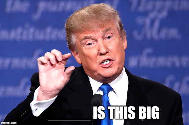 Insert Trump Size | _____ IS THIS BIG | image tagged in president,donald trump,size,measure,facts,memes | made w/ Imgflip meme maker
