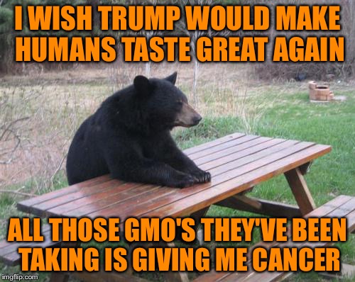 Bad Luck Bear Meme | I WISH TRUMP WOULD MAKE HUMANS TASTE GREAT AGAIN; ALL THOSE GMO'S THEY'VE BEEN TAKING IS GIVING ME CANCER | image tagged in memes,bad luck bear | made w/ Imgflip meme maker