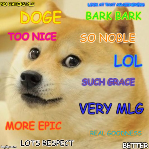 Doge Meme | LOOK AT THAT AMAZINGNESS; NO HATERS PLZ; BARK BARK; DOGE; TOO NICE; SO NOBLE; LOL; SUCH GRACE; VERY MLG; MORE EPIC; REAL GOODNESS; LOTS RESPECT; BETTER | image tagged in memes,doge | made w/ Imgflip meme maker