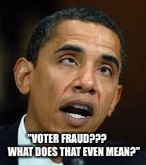 Voter Fraud  | "VOTER FRAUD???       WHAT DOES THAT EVEN MEAN?" | image tagged in voter fraud | made w/ Imgflip meme maker
