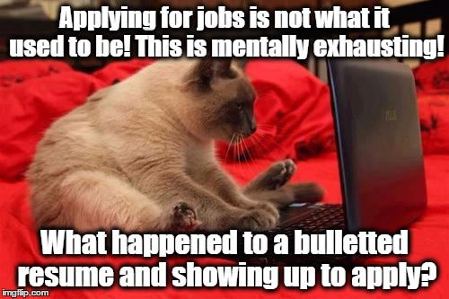 quit looking at cats online Memes - Imgflip