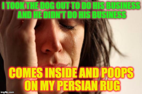 First World Problems | I TOOK THE DOG OUT TO DO HIS BUSINESS AND HE DIDN'T DO HIS BUSINESS; COMES INSIDE AND POOPS ON MY PERSIAN RUG | image tagged in memes,first world problems | made w/ Imgflip meme maker