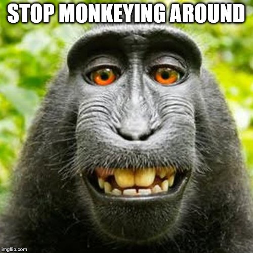 Monkey | STOP MONKEYING AROUND | image tagged in monkey | made w/ Imgflip meme maker