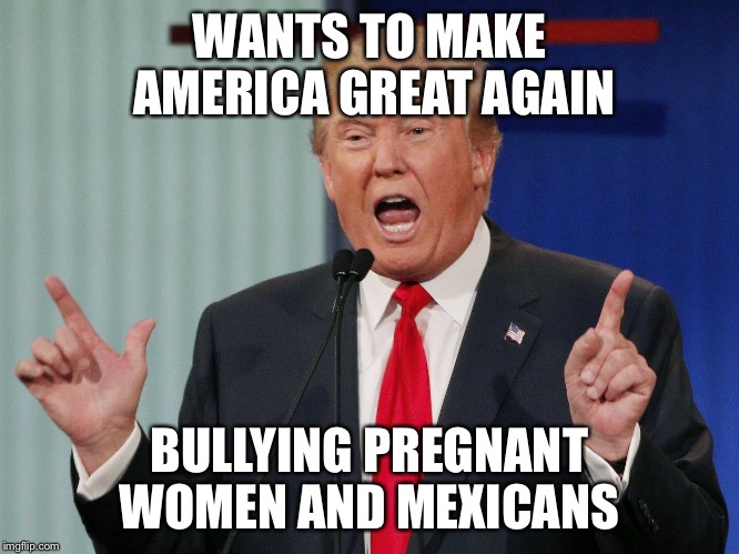 Fat women | WANTS TO MAKE AMERICA GREAT AGAIN; BULLYING PREGNANT WOMEN AND MEXICANS | image tagged in fat women | made w/ Imgflip meme maker