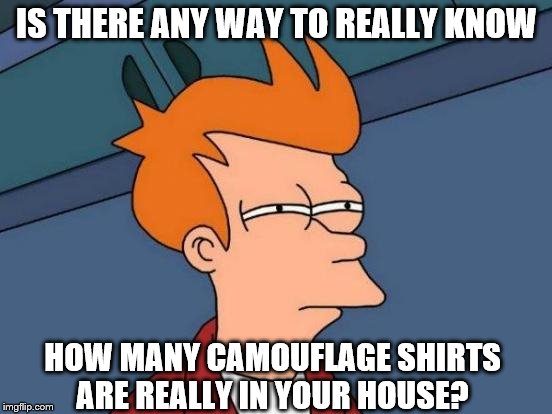 Futurama Fry | IS THERE ANY WAY TO REALLY KNOW; HOW MANY CAMOUFLAGE SHIRTS ARE REALLY IN YOUR HOUSE? | image tagged in memes,futurama fry | made w/ Imgflip meme maker