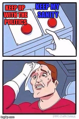 It's The Choices We Make That Make Us Or Brake  Us | KEEP MY SANITY; KEEP UP WITH THE POLITICS | image tagged in two buttons,memes | made w/ Imgflip meme maker