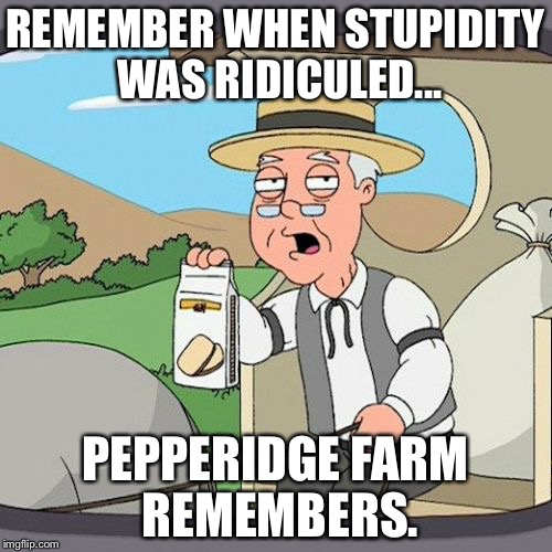 Pepperidge Farm Remembers Meme | REMEMBER WHEN STUPIDITY WAS RIDICULED... PEPPERIDGE FARM REMEMBERS. | image tagged in memes,pepperidge farm remembers,funny | made w/ Imgflip meme maker