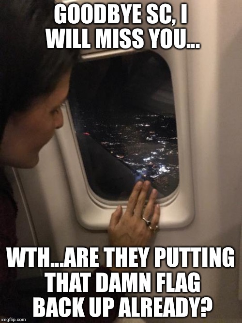 GOODBYE SC, I WILL MISS YOU... WTH...ARE THEY PUTTING THAT DAMN FLAG BACK UP ALREADY? | image tagged in nikki haley | made w/ Imgflip meme maker