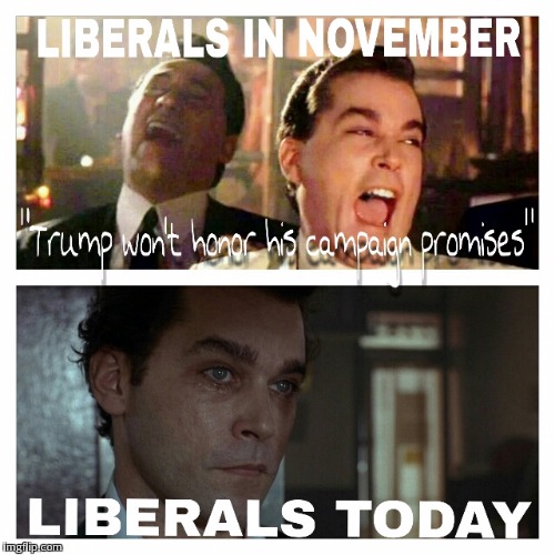 Liberals | image tagged in election,donald trump,snowflake,liberal | made w/ Imgflip meme maker
