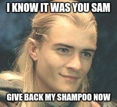 Legolas Always Knows |  I KNOW IT WAS YOU SAM; GIVE BACK MY SHAMPOO NOW | image tagged in google images | made w/ Imgflip meme maker