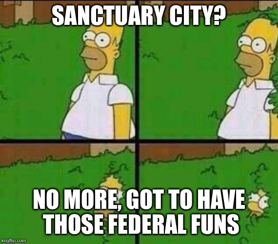 Homer Simpson in Bush - Large | SANCTUARY CITY? NO MORE, GOT TO HAVE THOSE FEDERAL FUNS | image tagged in homer simpson in bush - large | made w/ Imgflip meme maker