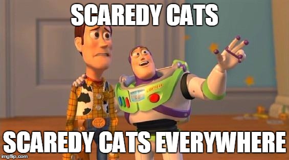TOYSTORY EVERYWHERE | SCAREDY CATS; SCAREDY CATS EVERYWHERE | image tagged in toystory everywhere | made w/ Imgflip meme maker
