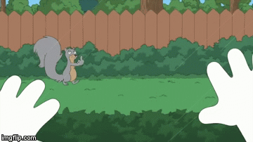 Flipping squirrel | image tagged in gifs,funny,flippingthebird,upyours,zerofucksgiven | made w/ Imgflip video-to-gif maker