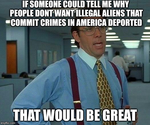 That Would Be Great Meme | IF SOMEONE COULD TELL ME WHY PEOPLE DONT WANT ILLEGAL ALIENS THAT COMMIT CRIMES IN AMERICA DEPORTED; THAT WOULD BE GREAT | image tagged in memes,that would be great | made w/ Imgflip meme maker