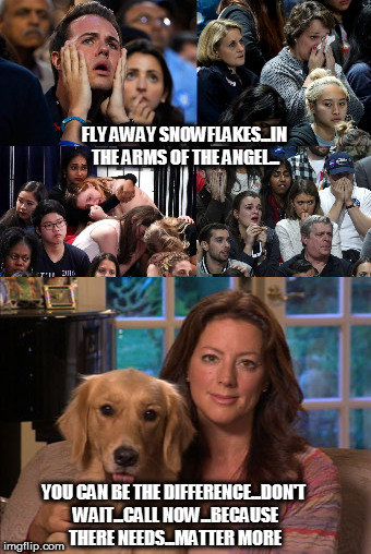 Snow angels  | FLY AWAY SNOWFLAKES...IN THE ARMS OF THE ANGEL... YOU CAN BE THE DIFFERENCE...DON'T WAIT...CALL NOW...BECAUSE THERE NEEDS...MATTER MORE | image tagged in snowflakes,sarah mclachlan,democrats | made w/ Imgflip meme maker