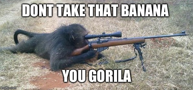 Sniper Monkey | DONT TAKE THAT BANANA; YOU GORILA | image tagged in sniper monkey | made w/ Imgflip meme maker