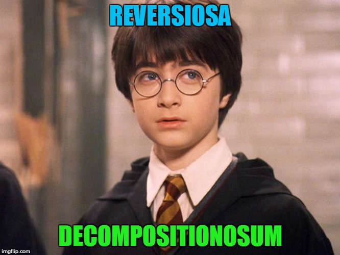 REVERSIOSA DECOMPOSITIONOSUM | made w/ Imgflip meme maker
