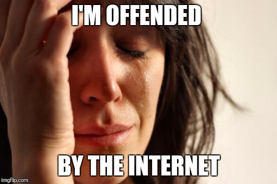 First World Problems Meme | I'M OFFENDED BY THE INTERNET | image tagged in memes,first world problems | made w/ Imgflip meme maker