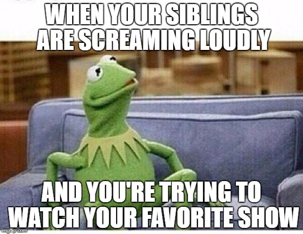 KERMIT | WHEN YOUR SIBLINGS ARE SCREAMING LOUDLY; AND YOU'RE TRYING TO WATCH YOUR FAVORITE SHOW | image tagged in kermit | made w/ Imgflip meme maker