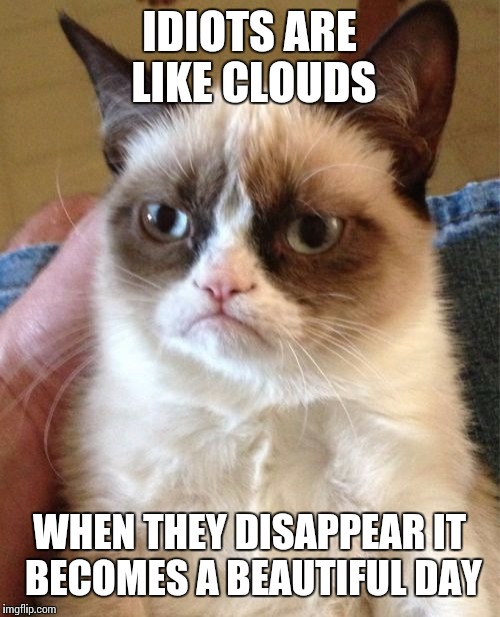 Grumpy Cat | IDIOTS ARE LIKE CLOUDS; WHEN THEY DISAPPEAR IT BECOMES A BEAUTIFUL DAY | image tagged in memes,grumpy cat | made w/ Imgflip meme maker