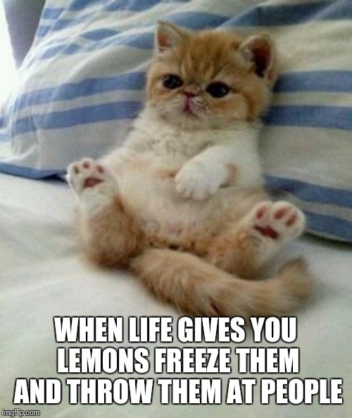 Advice cat | WHEN LIFE GIVES YOU LEMONS FREEZE THEM AND THROW THEM AT PEOPLE | image tagged in advice cat | made w/ Imgflip meme maker
