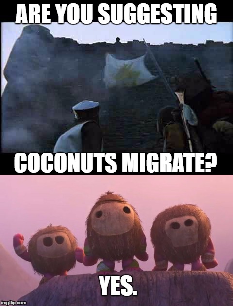 Coconuts do migrate! |  ARE YOU SUGGESTING; COCONUTS MIGRATE? YES. | image tagged in monty python,monty coconut | made w/ Imgflip meme maker